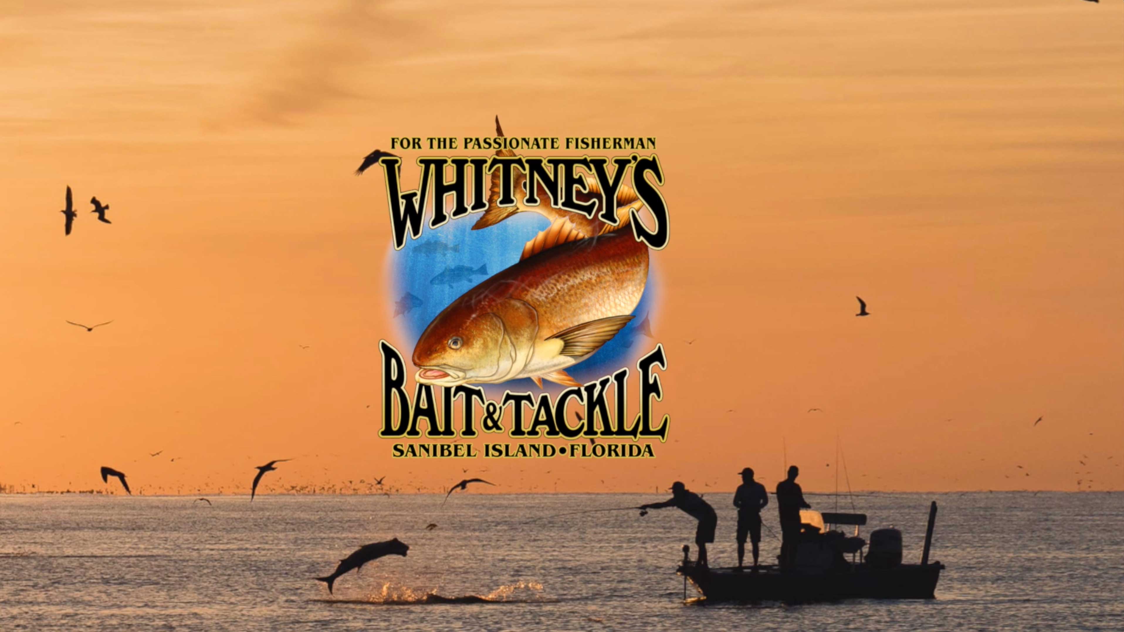 whitney's bait and tackle fishing charters