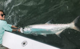 sanibel-fishing-whitneys-bait-and-tackle-12