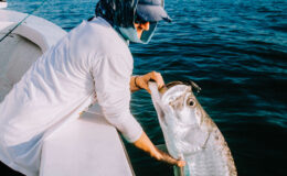 sanibel-fishing-whitneys-bait-and-tackle-28