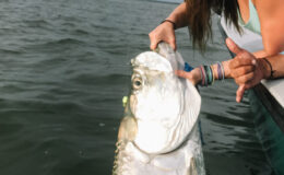 sanibel-fishing-whitneys-bait-and-tackle-9