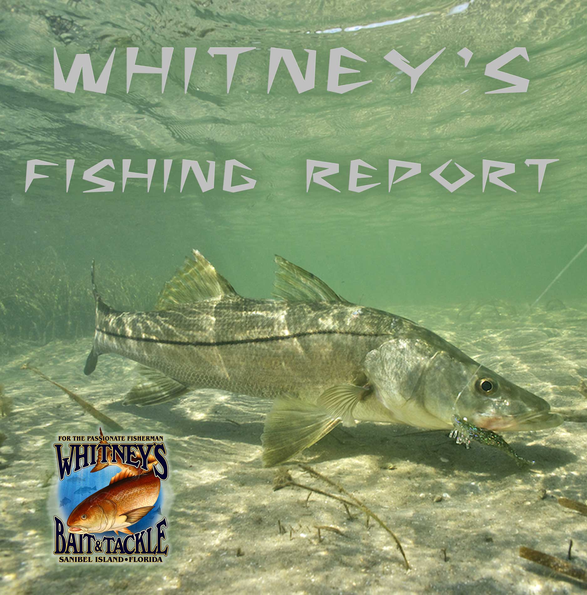 SANIBEL FISHING REPORT