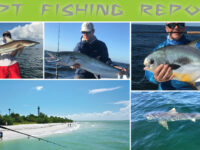 September Fishing Report