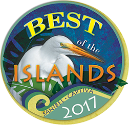 best of 2017 logo